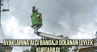 Ayaklarına alçı bandajı dolanan leylek kurtarıldı