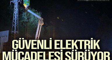  Batı Karadeniz'de yaşanan sel nedeniyle güvenli elektrik mücadelesi sürüyor