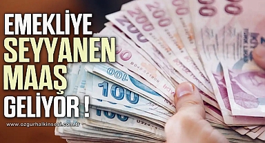 Erdoğan ve Bahçeli anlaştı !