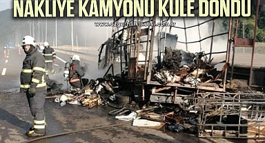 Ev eşyası taşıyan nakliye kamyonu küle döndü