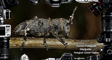 Günün Fotoğrafı...