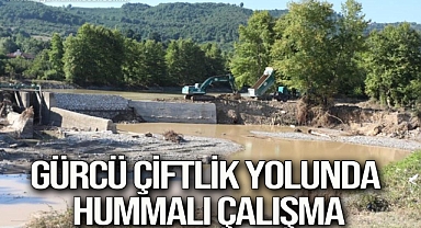 Gürcü çiftlik yolunda hummalı çalışma