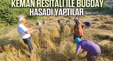 Keman resitali ile buğday hasadı yaptılar