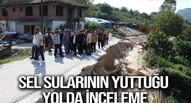  Sel sularının yuttuğu yolda inceleme