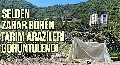  Selden zarar gören tarım arazileri havadan görüntülendi