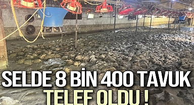 Sele teslim olan köydeki tavuk çiftliğinde 8 bin 400 tavuk telef oldu