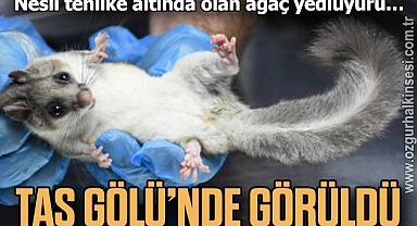 TAS GÖLÜ’NDE GÖRÜLDÜ