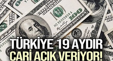 Türkiye 19 Aydır Cari Açık Veriyor!