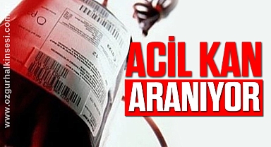 ACELE KAN!