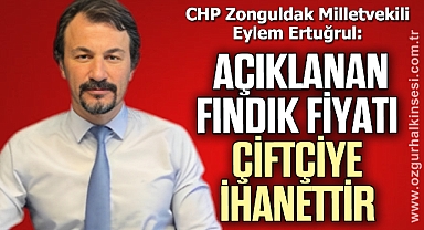 ‘AÇIKLANAN FINDIK FİYATI ÇİFTÇİYE İHANETTİR’
