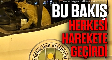 DAKİKALARCA KURTARILMAYI BEKLEDİ
