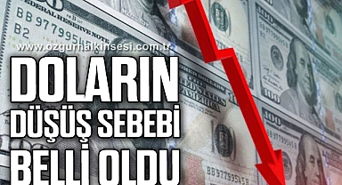 Dolardaki düşüşle ilgili şoke eden gerçek açığa çıktı! Ünlü ekonomist bir bir anlattı