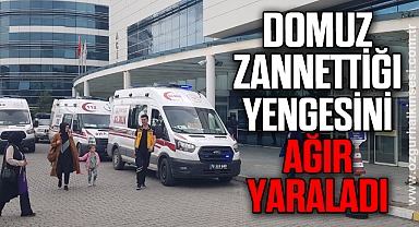 Domuz zannettiği yengesini ağır yaraladı
