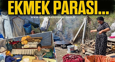 Ekmek parası için kilometrelerce uzaktan geldiler