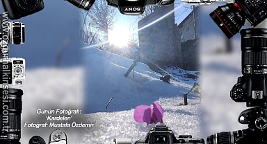 Günün Fotoğrafı...