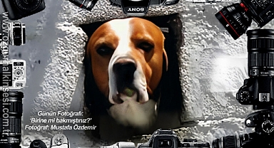 Günün Fotoğrafı...