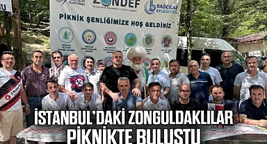 İSTANBUL’DAKİ ZONGULDAKLILAR PİKNİKTE BULUŞTU