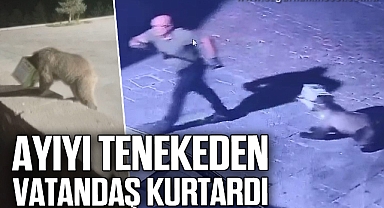 Kafası tenekeye sıkışan ayıyı vatandaşlar kurtardı