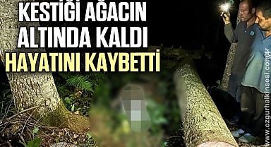 Kestiği ağacın altında kalan orman işçisi hayatını kaybetti