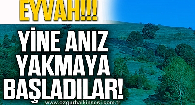 Kozlu'daki yangın jandarmayı harekete geçirdi