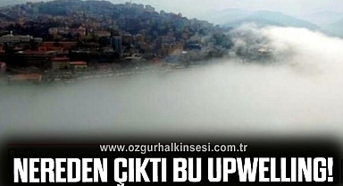 Nereden Çıktı Bu Upwelling!