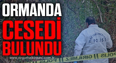 ORMANDA CESEDİ BULUNDU
