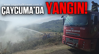 Örtü altı yangını ormanlık alana sıçramadan söndürüldü