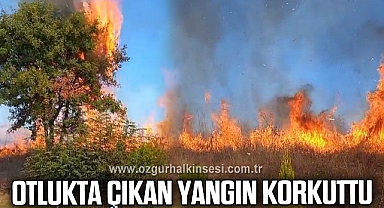 Otluk alanda çıkan yangın korkuttu