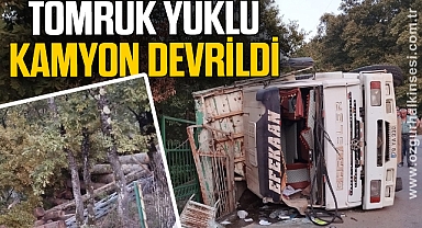 Tomruk yüklü kamyon devrildi