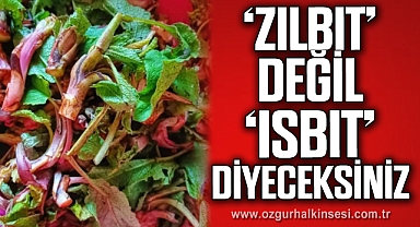“ZILBIT” DEĞİL “ISBIT” DİYECEKSİNİZ