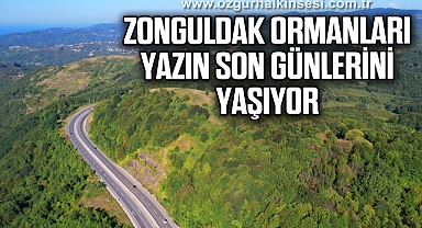 Zonguldak ormanları yazın son günlerini yaşıyor