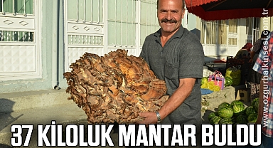 37 Kiloluk mantar buldu: Kilogramını 40 liraya satıyor