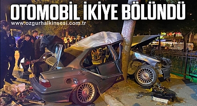 Ağaca çarpan otomobil ikiye bölündü