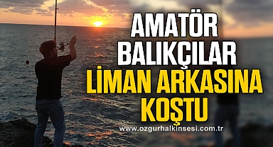 AMATÖR BALIKÇILAR LİMAN ARKASINA KOŞTU