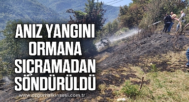 Anız yangını ormana sıçramadan söndürüldü