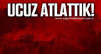 Çalılıkta yangın çıktı...