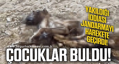 ÇOCUKLAR BULDU!
