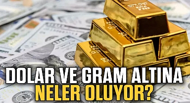 DOLAR VE GRAM ALTINA NELER OLUYOR ?