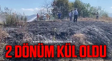 Ereğli'de fındık bahçesi yandı