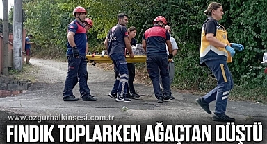 Fındık toplarken ağaçtan düştü