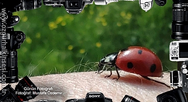 Günün Fotoğrafı...