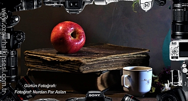 Günün Fotoğrafı...
