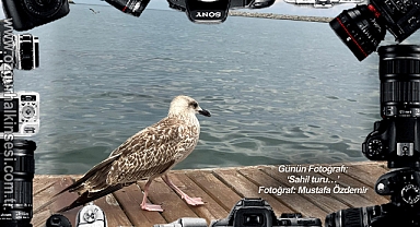 Günün Fotoğrafı...