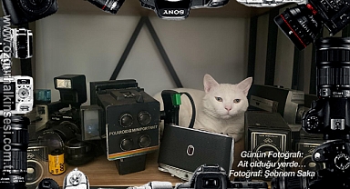 Günün Fotoğrafı...