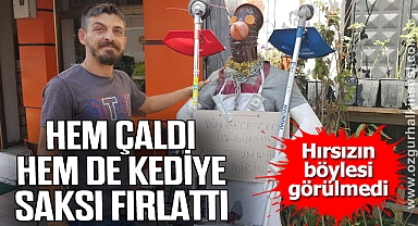 Hem cansız mankenin kıyafetini çaldı hem de kediye saksı fırlattı