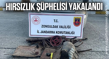 Hırsızlık şüphelisi yakalandı