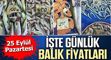 İŞTE GÜNLÜK BALIK FİYATLARI