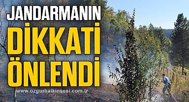 Jandarmanın dikkati orman yangınını önledi
