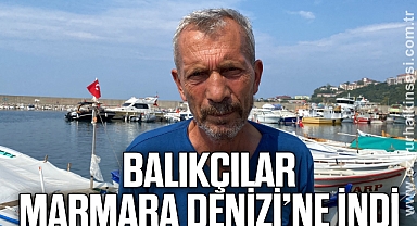 Karadenizli balıkçılar hamsi için Marmara Denizi’ne indi