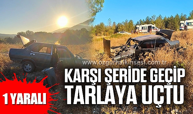 Karşı şeride geçip tarlaya uçtu: 1 yaralı
